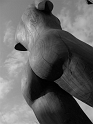 WoodVenus (11)
